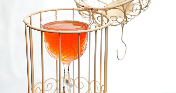 Grey Goose :: Campeonato de Coqueteleria