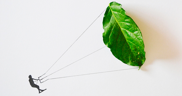 Artista cria desenhos com folhas