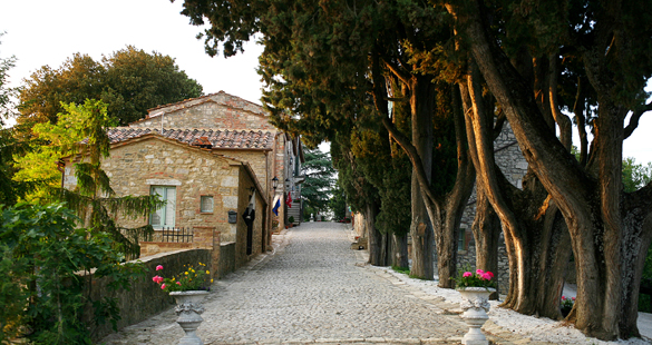 Degustações de vinho em Laticastelli