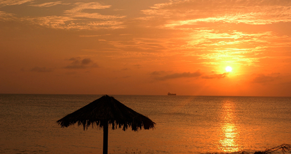 Brasileiros em Aruba