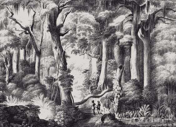 Novas perspectivas sobre a pintura brasileira no século XIX