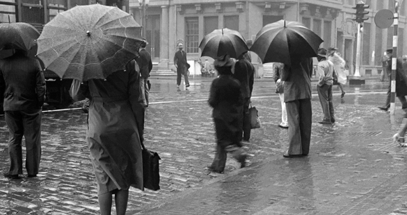 Destaques do IMS na SP-Arte/Foto