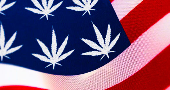 Cannabis Gourmet, breve em Washington, DC