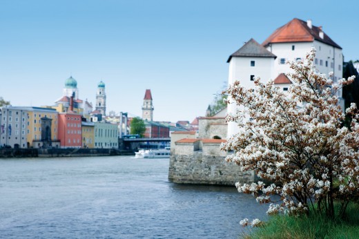 Passau SpringFlowers