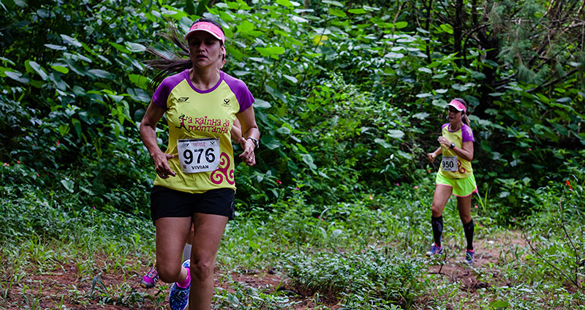 A Rainha da Montanha encantará Mogi das Cruzes em agosto