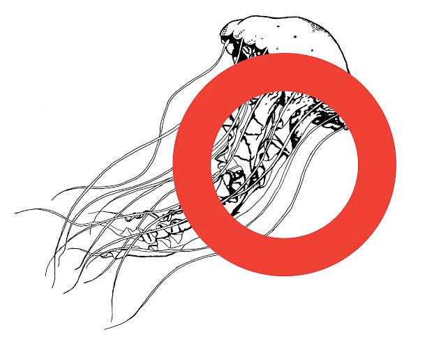 32ª Bienal de São Paulo – Incerteza viva