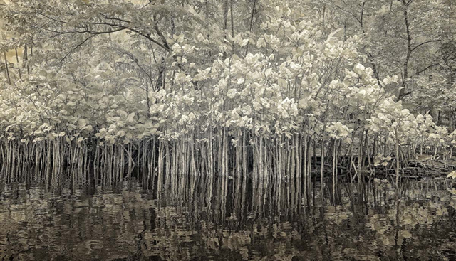 Galeria Rabieh abre exposição com trabalhos do fotógrafo Antonio Saggese