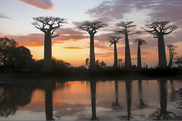 Hotel Toriba oferece Programa de hospedagem com Workshop “Fotografia de Viagem”