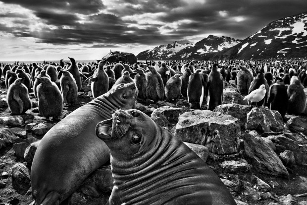 Exposição Sebastião Salgado na Galeria Mario Cohen