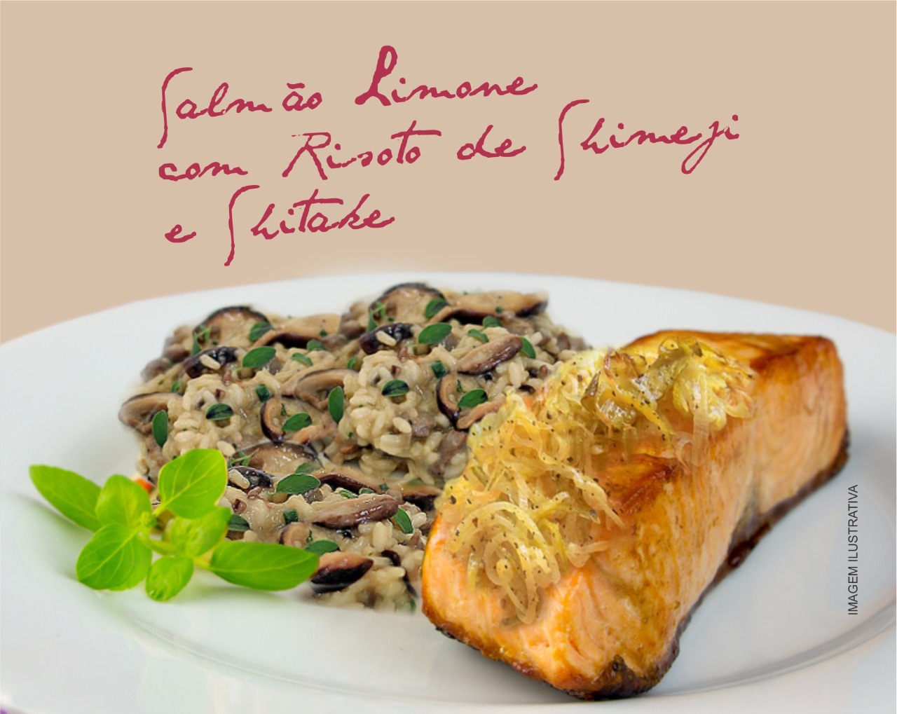 5 motivos para você ir ao 1º Festival Enogastronômico de São Roque