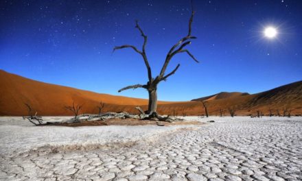 Namíbia, a beleza por trás das dunas