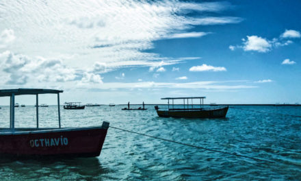 Praia dos Carneiros, uma viagem inesquecível