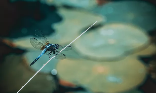 As 4 etapas de um processo de cura