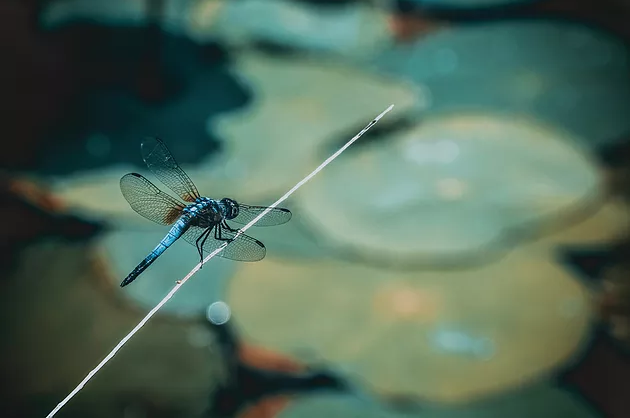 As 4 etapas de um processo de cura