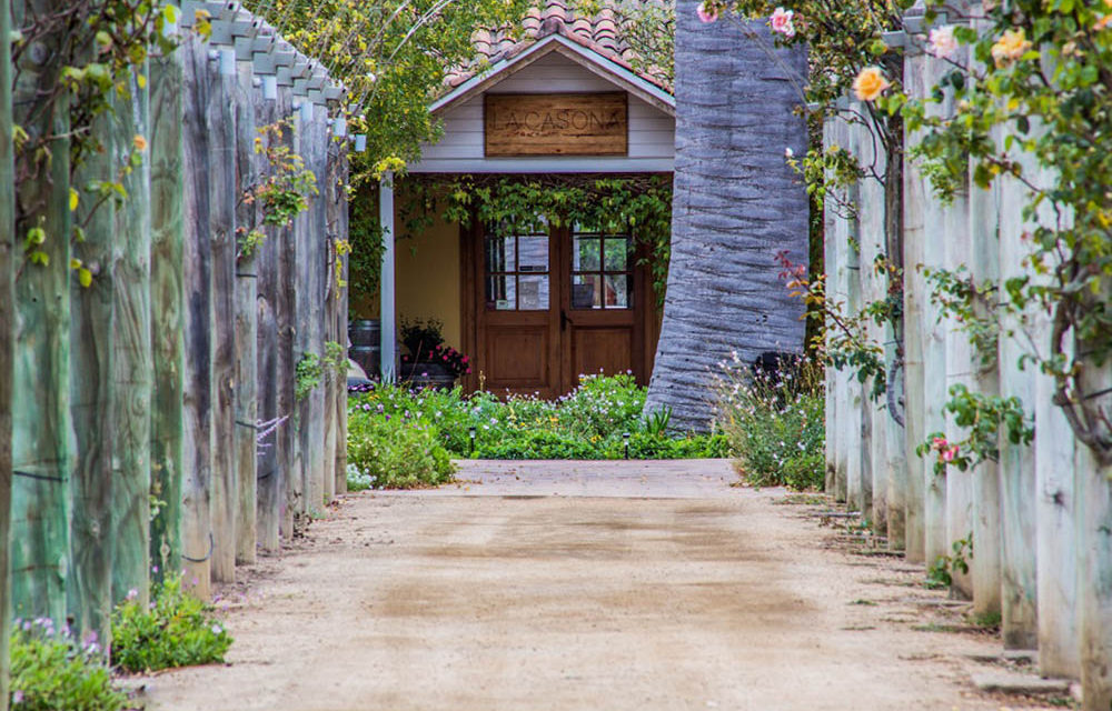 Vinícola chilena é dica de viagem para amantes de vinho