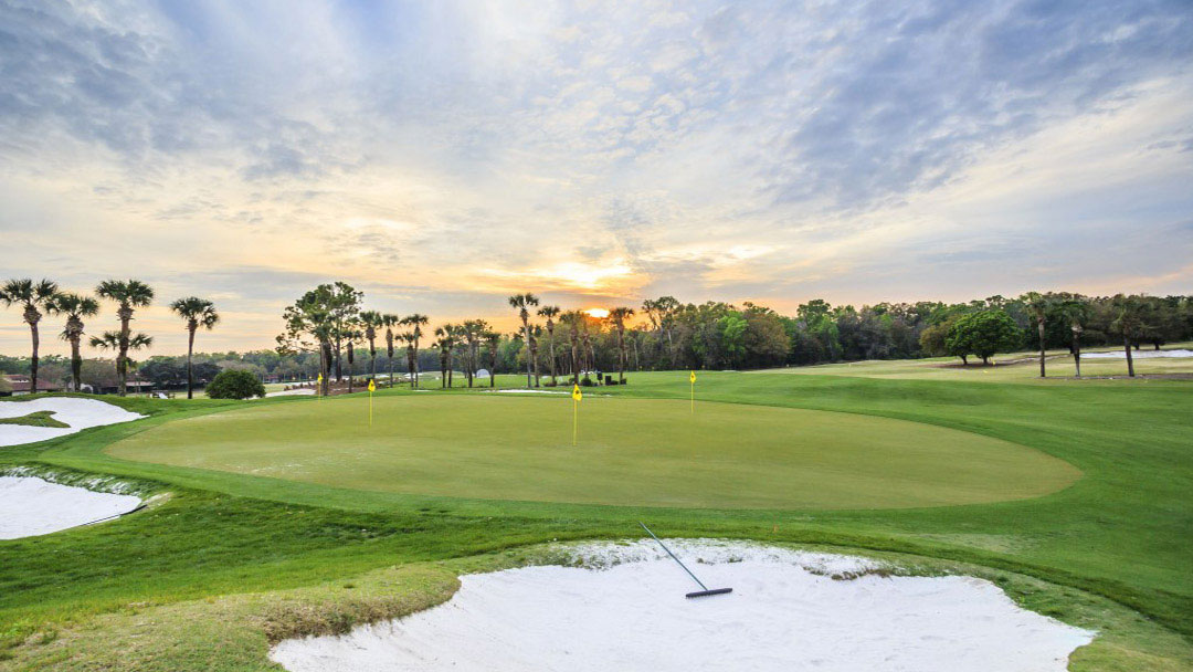 As escolas particulares e o caminho para entrar numa universidade americana jogando golfe