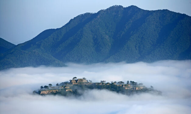 Japan House promove eventos gratuitos sobre cultura e gastronomia japonesas em novembro