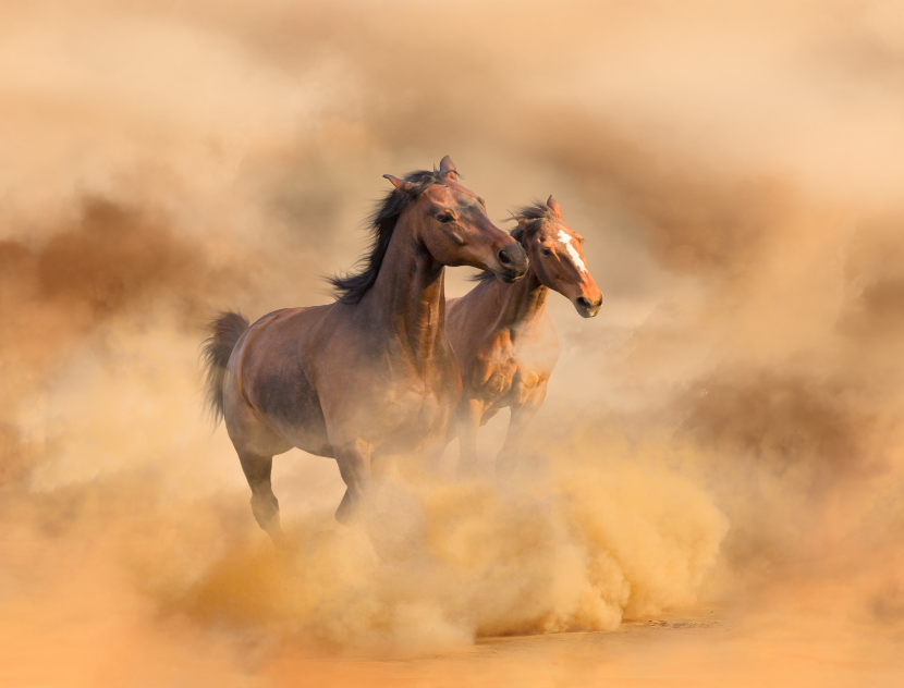 Angústia é o preço da liberdade