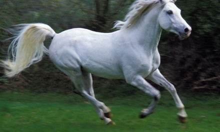 O Corpo em Frequência: O Que a Ciência de Deepak Chopra Revela Sobre Emoções e Bem-Estar