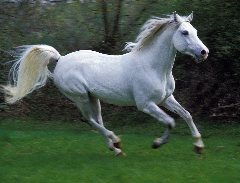 O Corpo em Frequência: O Que a Ciência de Deepak Chopra Revela Sobre Emoções e Bem-Estar