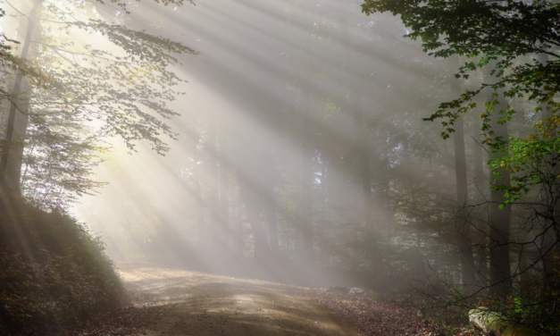 Meditação para iniciantes: Como começar em 5 minutos por dia?