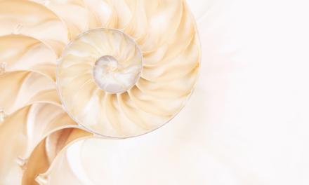 Os Cinco Elementos do Tarô — A Filosofia Oculta por Trás das Cartas