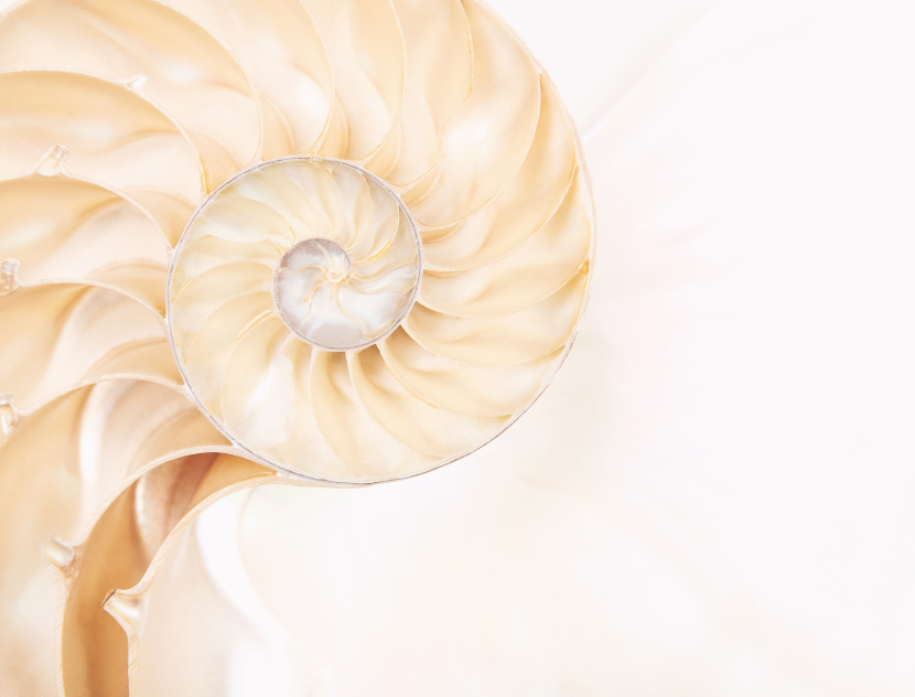 Os Cinco Elementos do Tarô — A Filosofia Oculta por Trás das Cartas