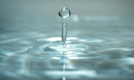 Fevereiro de 2026: A Alquimia do Tarô e os Astros