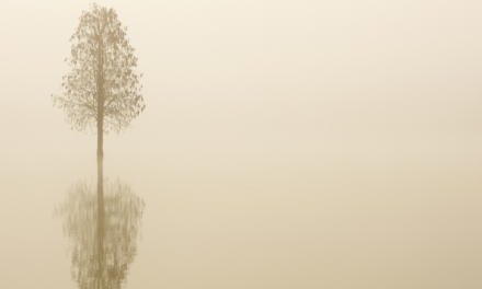 O Poder do Silêncio: O Que Swami Vivekananda Nos Ensina sobre Mente e Meditação?