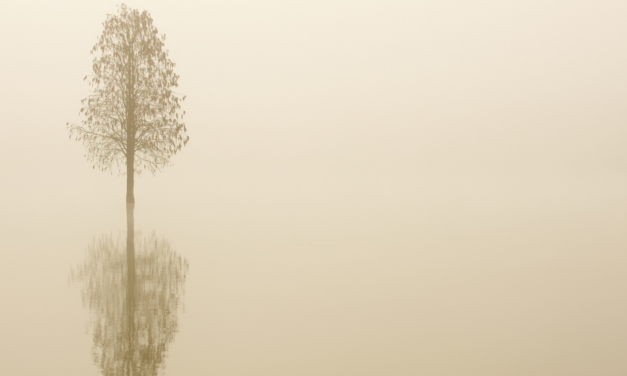 O Poder do Silêncio: O Que Swami Vivekananda Nos Ensina sobre Mente e Meditação?