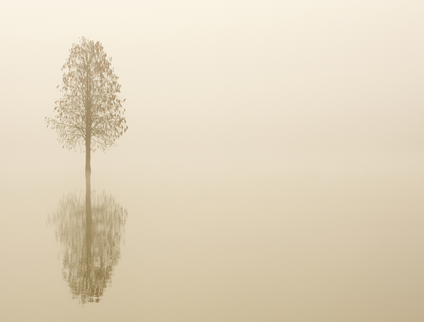 O Poder do Silêncio: O Que Swami Vivekananda Nos Ensina sobre Mente e Meditação?