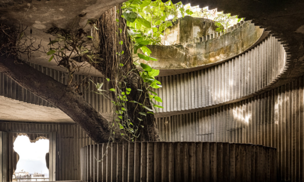 Biennale Architettura 2025