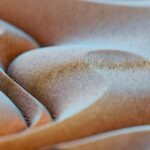 O Corpo Como Campo Energético: O Que Deepak Chopra Nos Ensina Sobre Saúde e Vibração?