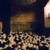 The ball pit